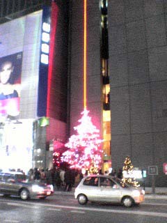 20061208_xmastree1.jpg