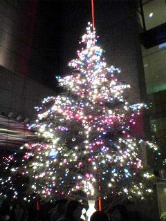 20061208_xmastree2.jpg