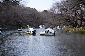 井の頭公園