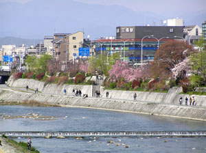 kamogawa2006.jpg