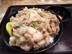 すた丼。縮尺がわからないがミニサイズ。